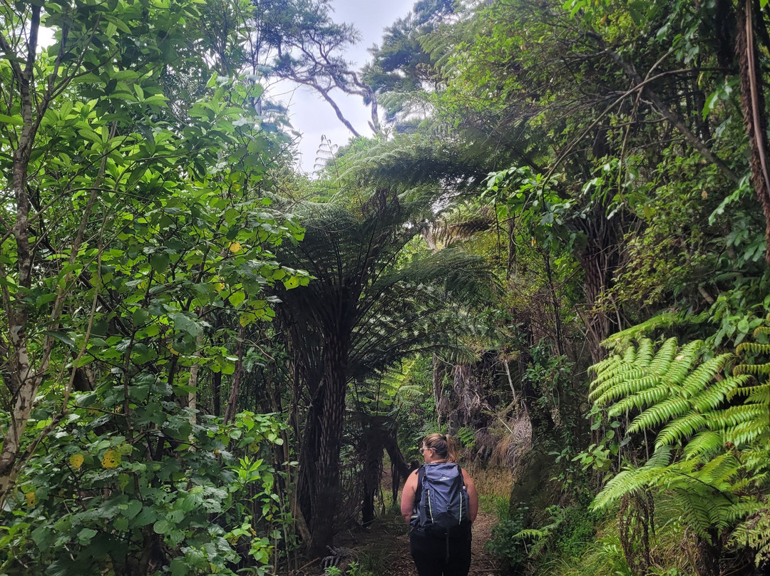Abel Tasman Guides-玛拉豪必去景点