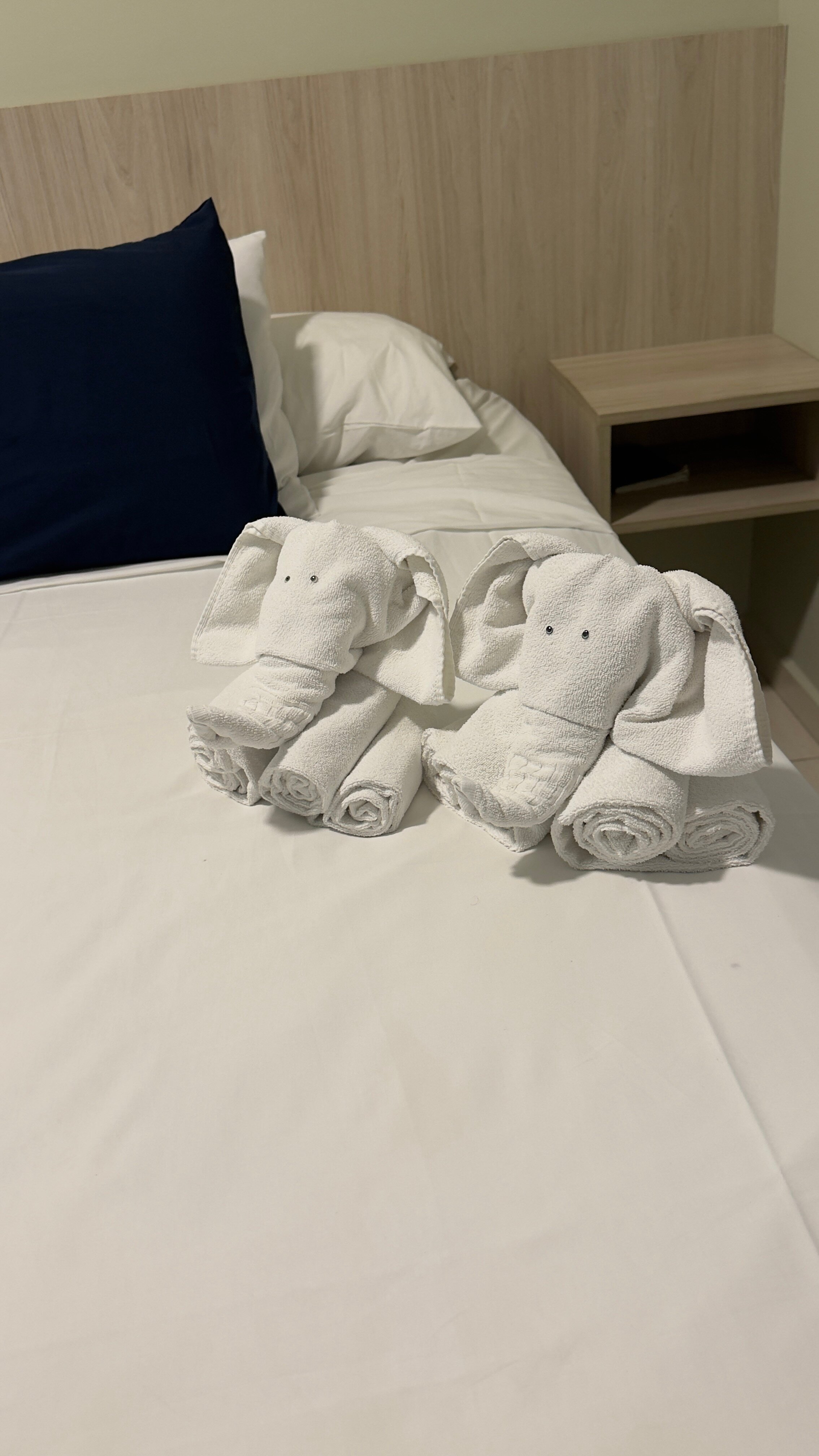 Ubatuba Praia Hotel-官方