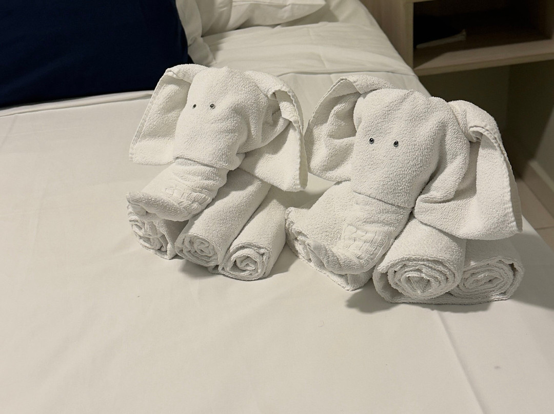 Ubatuba Praia Hotel主图