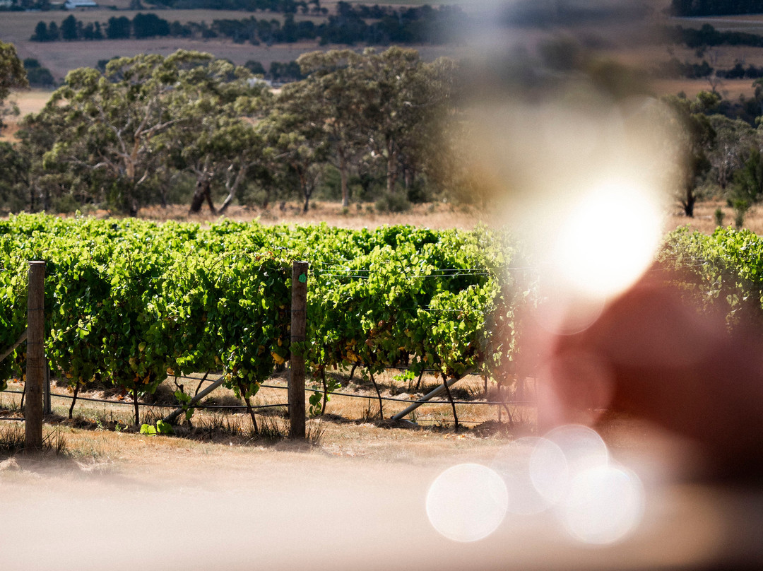 Caledon Estate-Richmond必去景点