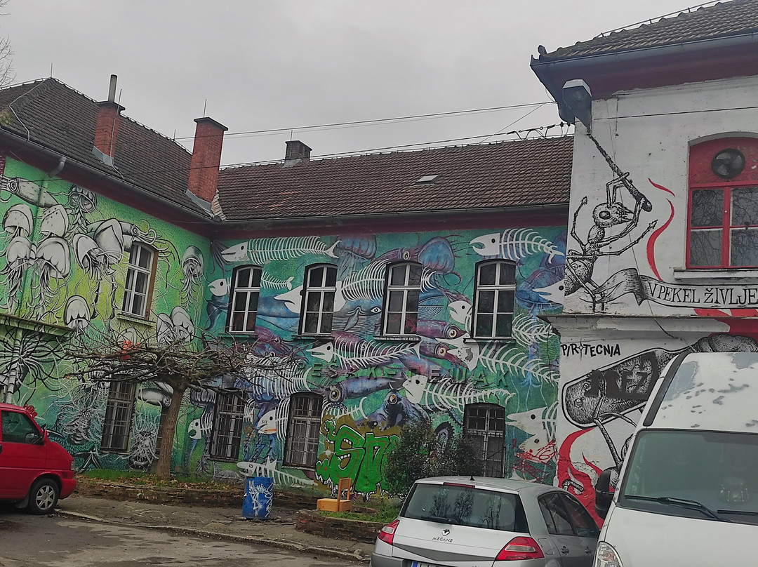 Metelkova-卢布尔雅那必去景点