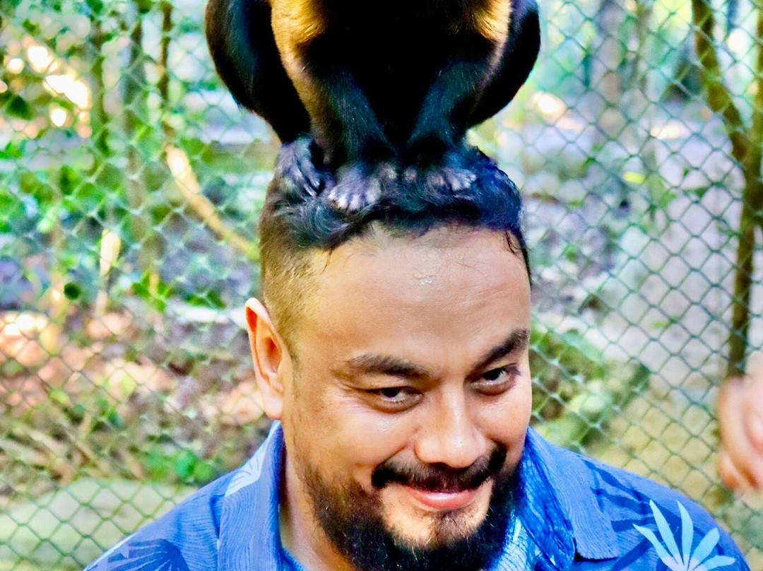 Akumal Monkey Sanctuary & Rescued Animals-艾库玛尔必去景点