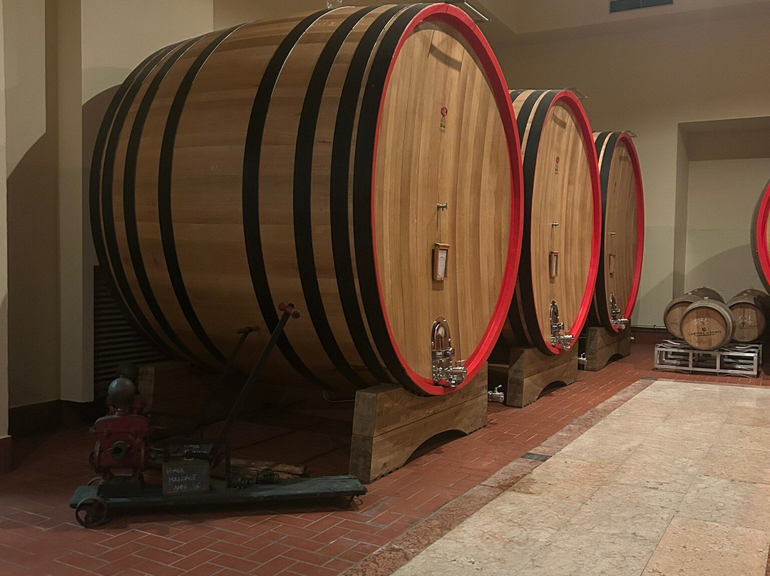 Rocca Sveva-Soave必去景点