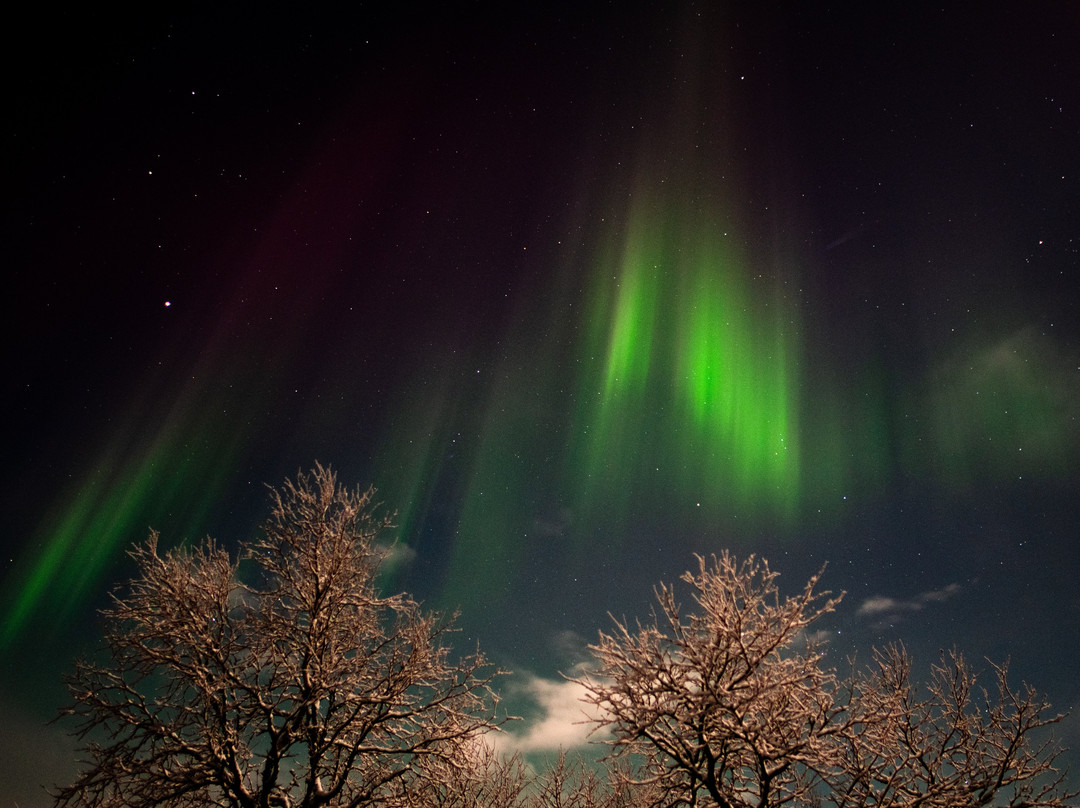 拉普兰极光之旅-阿比斯库必去景点