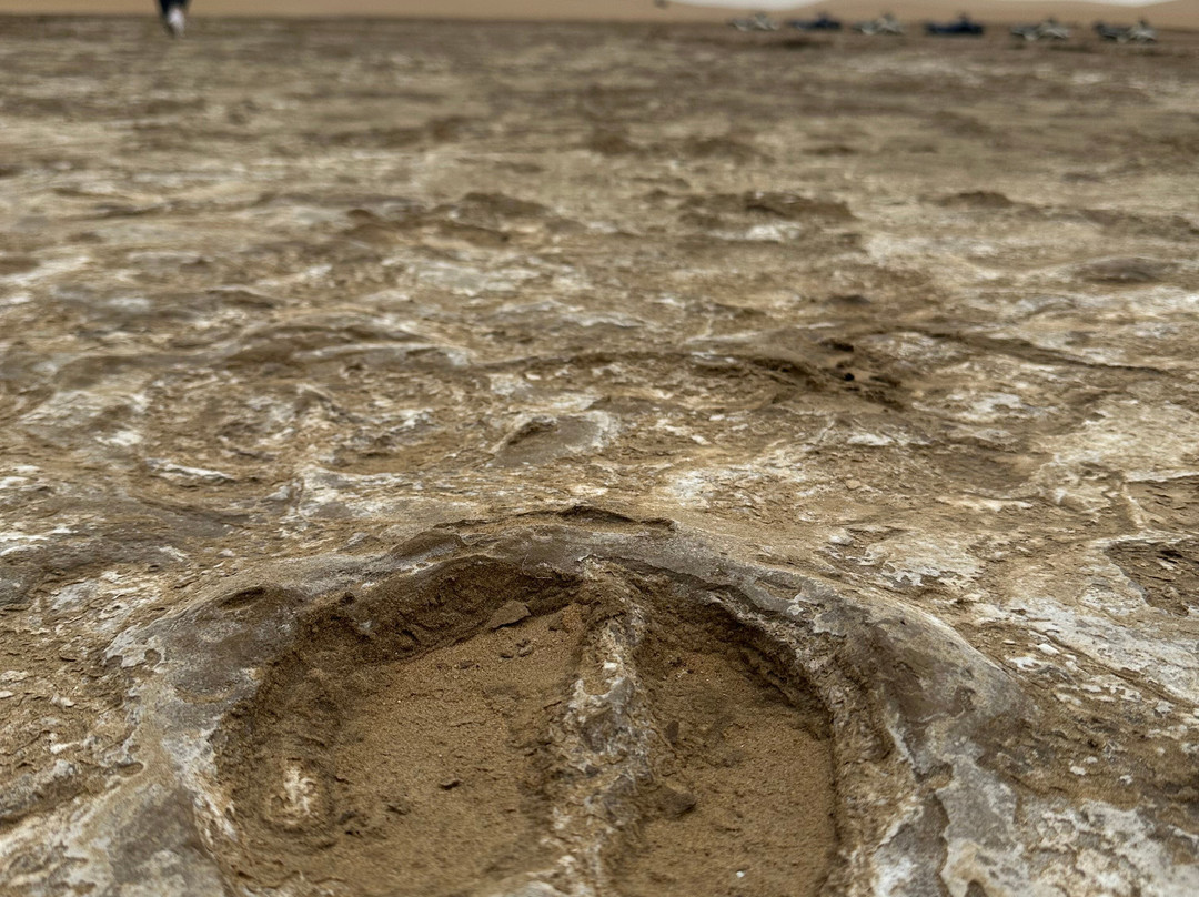 Kuiseb Delta Adventures-华维斯湾必去景点