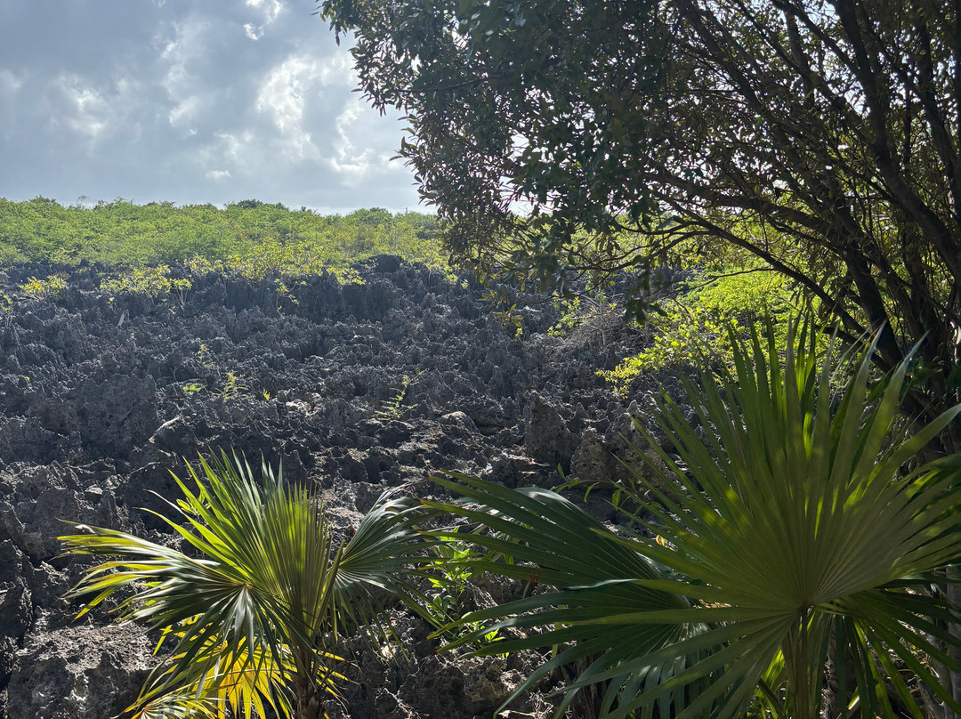 地狱-大开曼岛必去景点