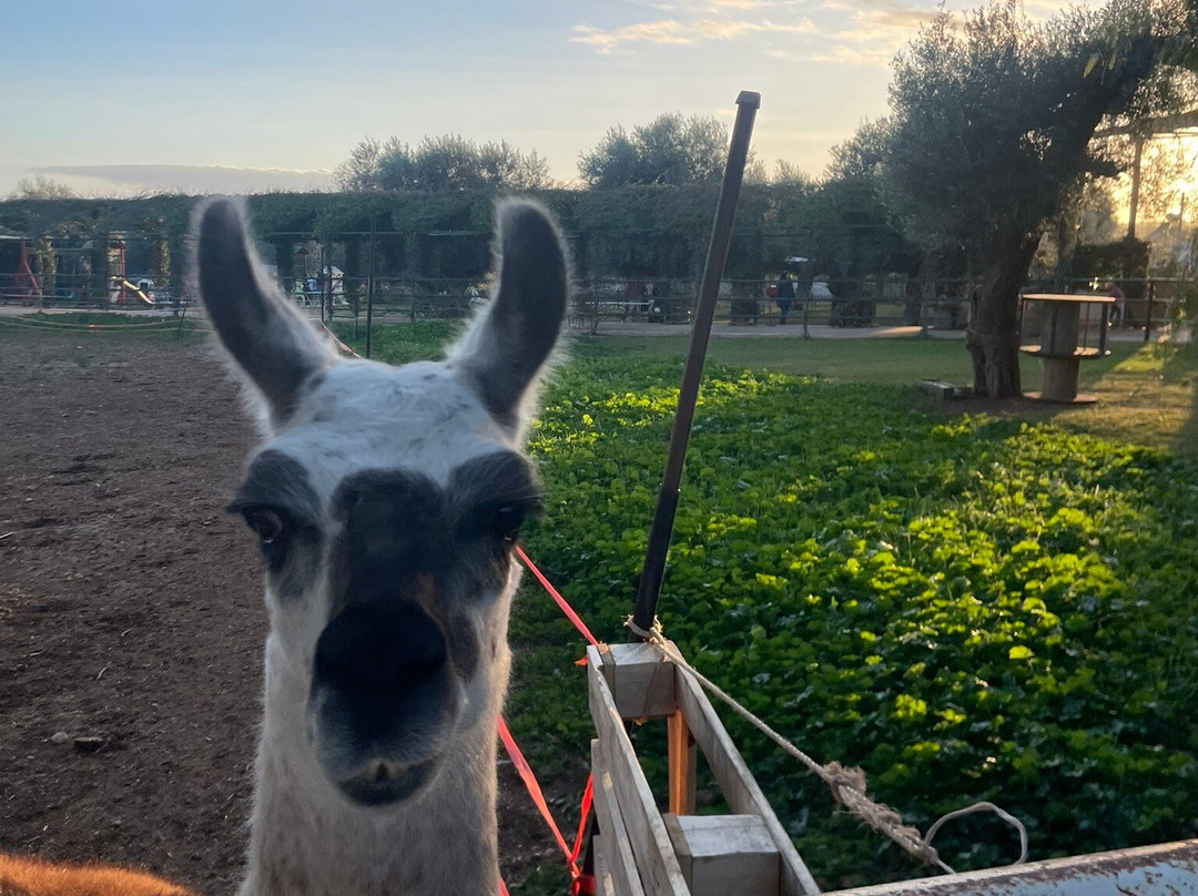 La Fattoria Dei Salari-Floridia必去景点