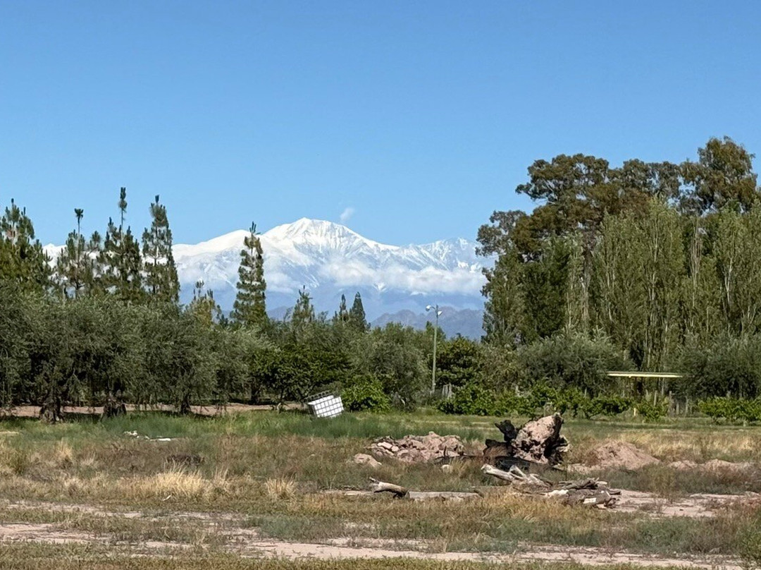 Bodega CarinaE-Maipu必去景点