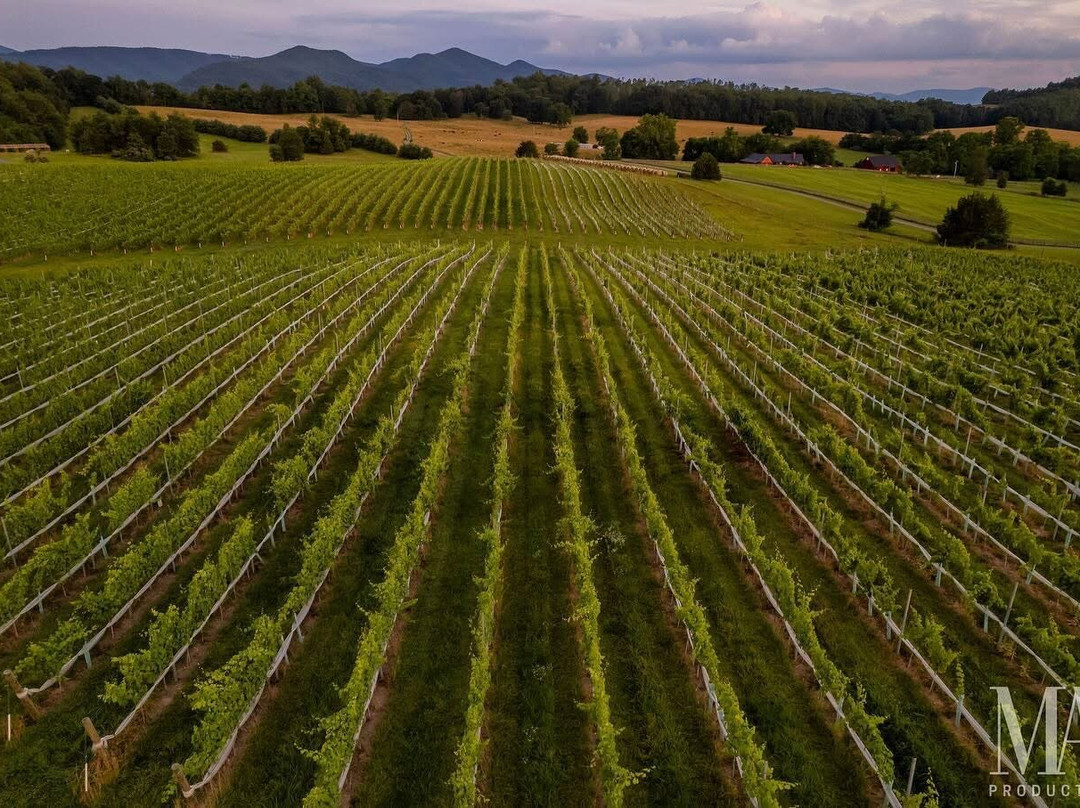 Ecco Adesso Vineyards-Fairfield必去景点