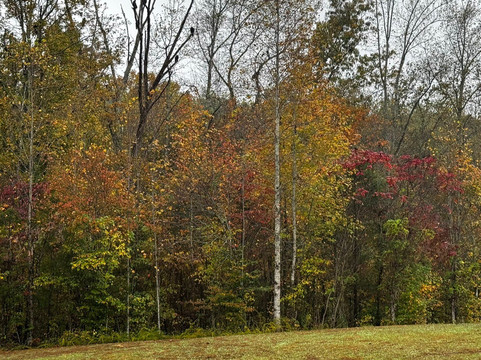 Dale Hollow Lake State Park-肯塔基必去景点