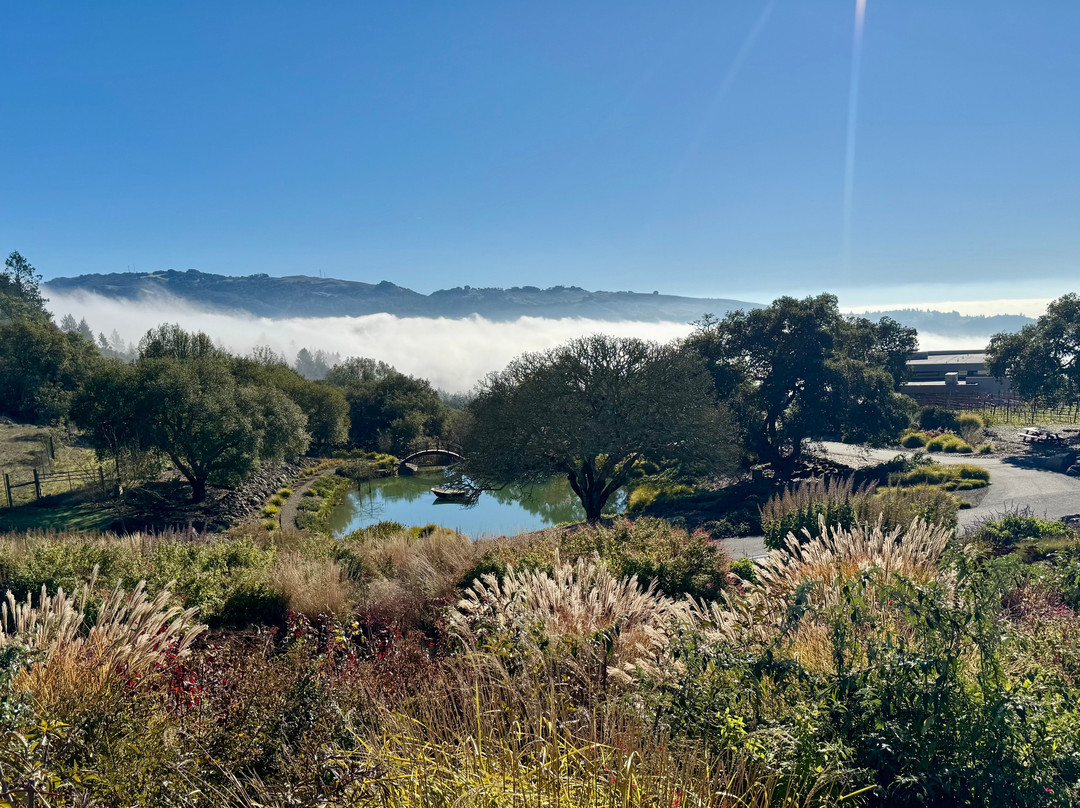 Coursey Graves Estate Winery-圣罗莎必去景点