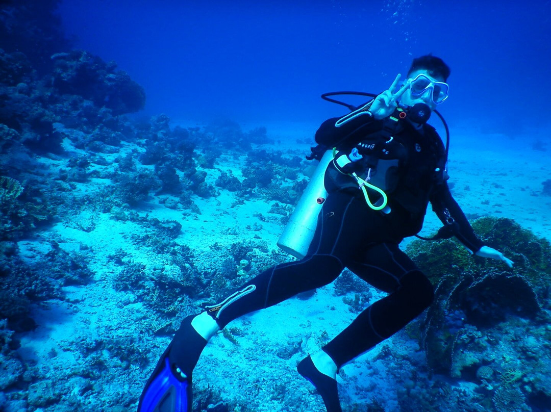 Ducks Diving Safaga-Safaga必去景点