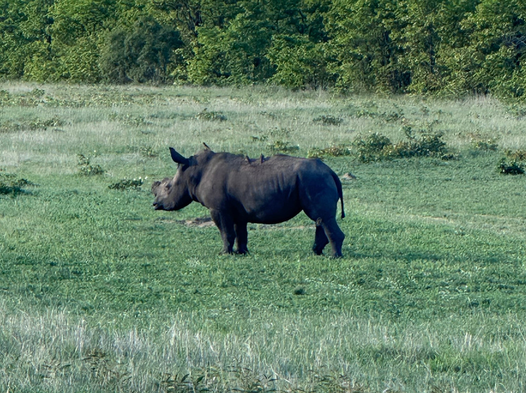 African Safari Group-开普敦必去景点