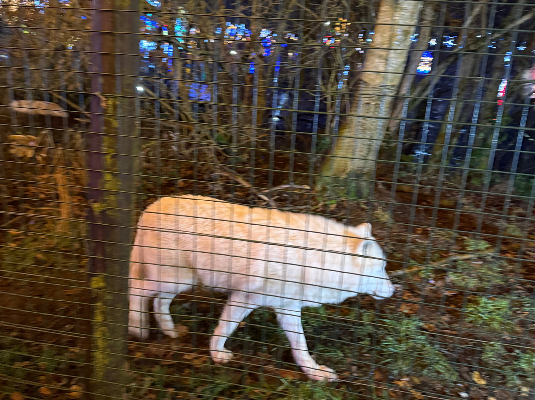 Five Sisters Zoo-West Calder必去景点