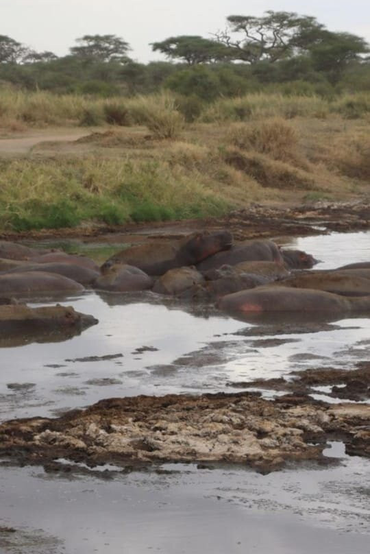FB Tanzania Expeditions-阿鲁沙必去景点