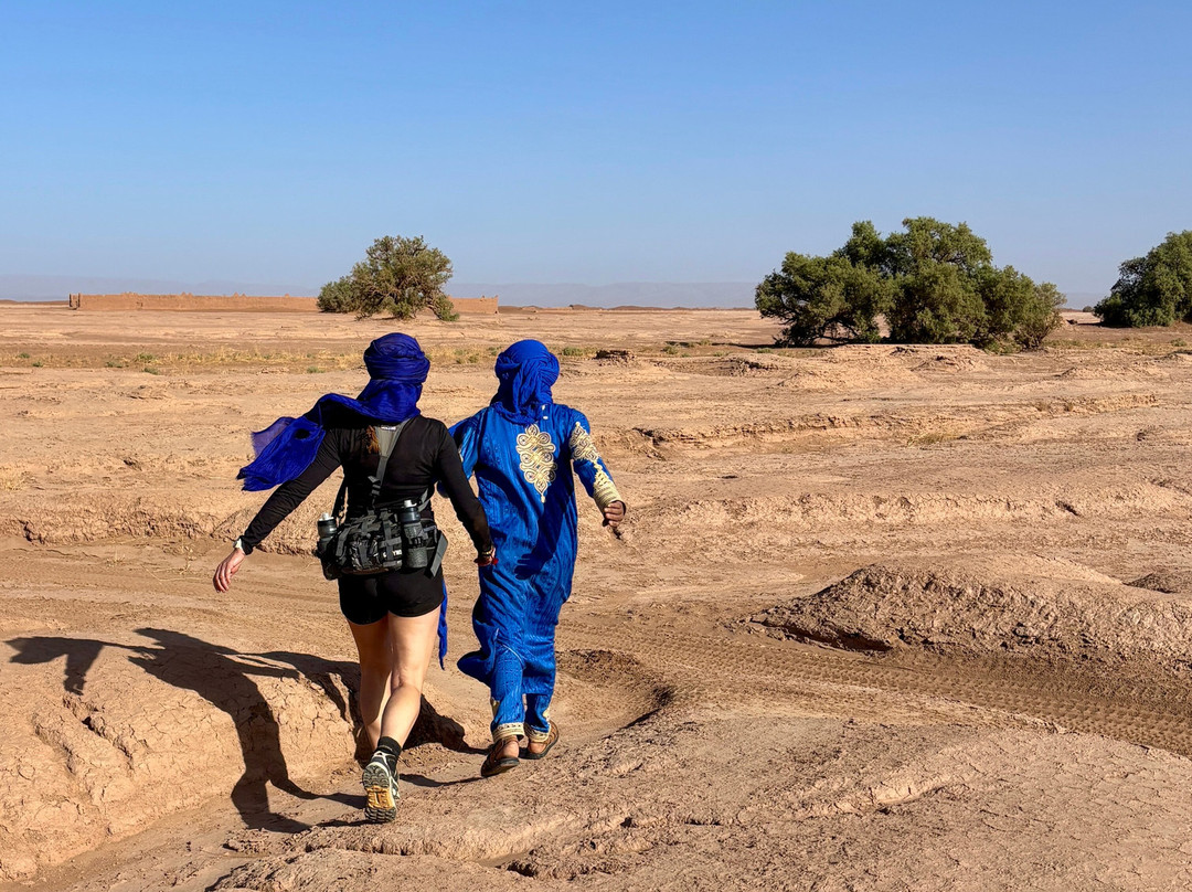 Adventures Desert-迈哈米德必去景点