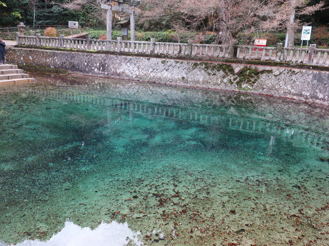 別府弁天池湧水-美祢市必去景点