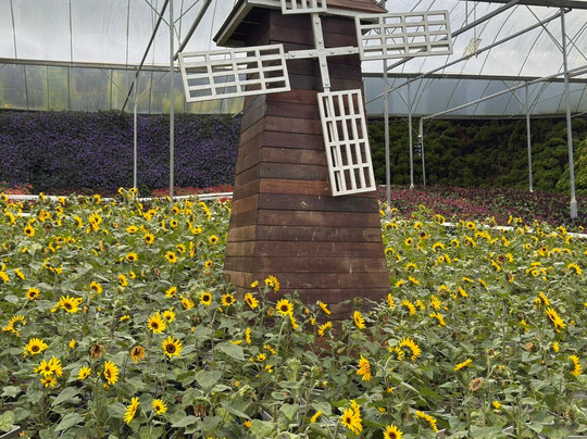 Cameron Highlands Flora Park-碧兰璋必去景点