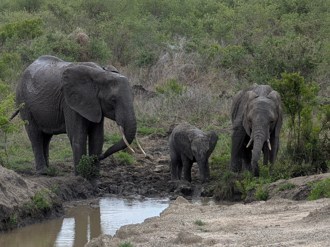 Travel with Deo-Mloka必去景点
