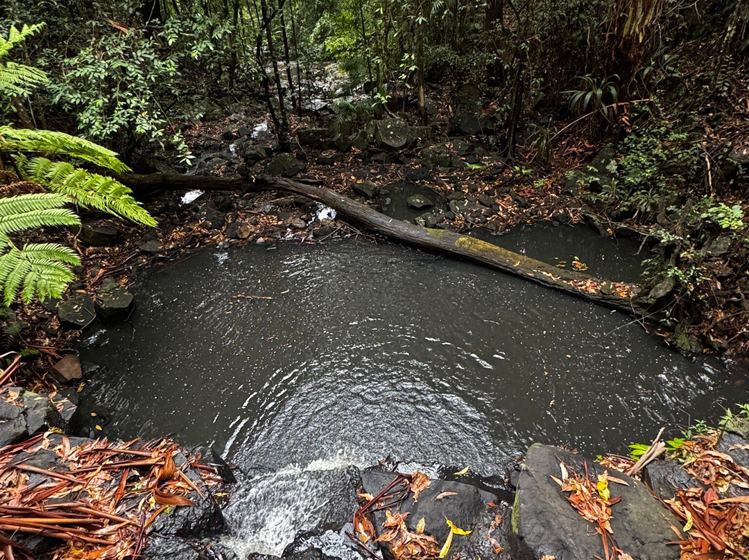 Mapleton Falls National Park-Mapleton必去景点