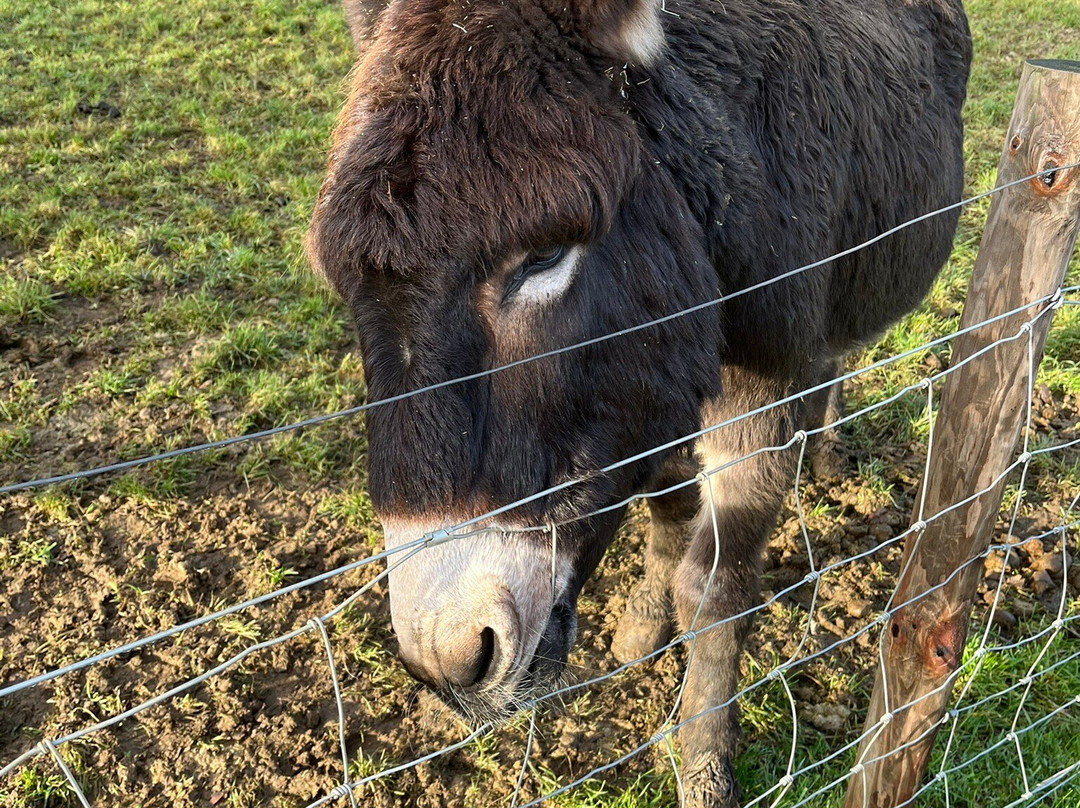 Windmill Farm Park-Kibworth Harcourt必去景点