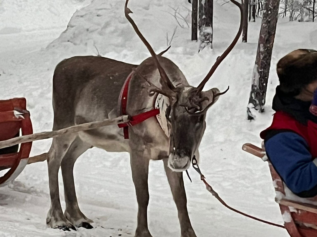 Santa's Winter Village-Pajala必去景点