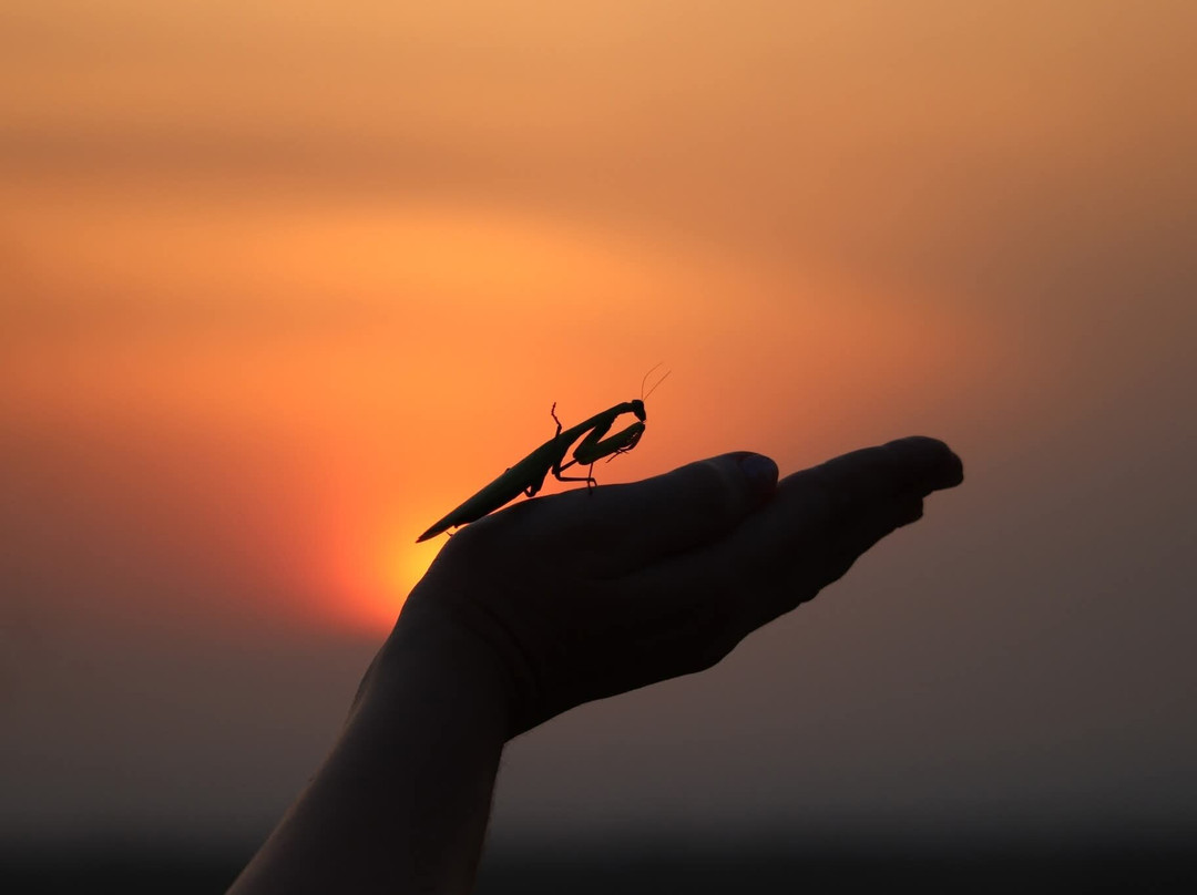 ENCHANTED UGANDA SAFARIS-Fort Portal必去景点