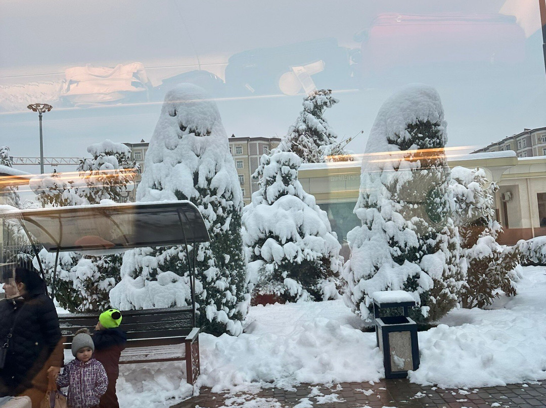 Samarkand Train Station-撒马尔罕必去景点