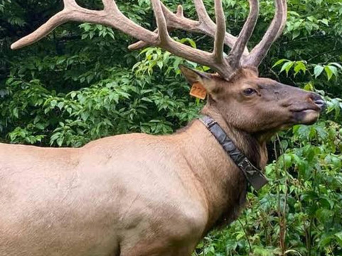 麦琪谷华美达酒店主图