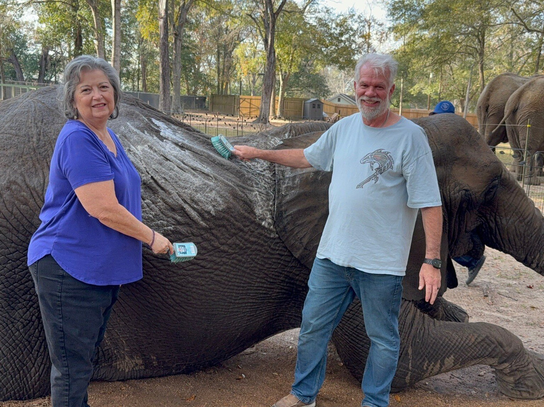 East Texas Elephant Experience-Cut and Shoot必去景点