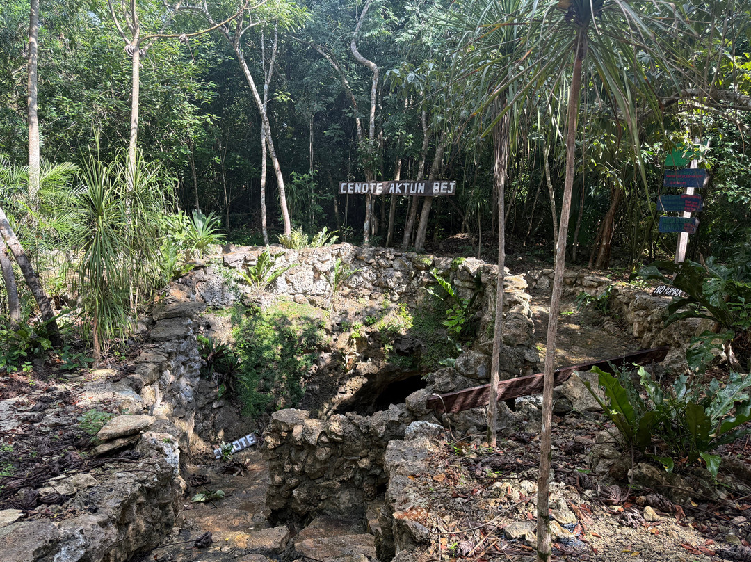Parque Ecoturistico Cenote Aktun Bej-图伦必去景点