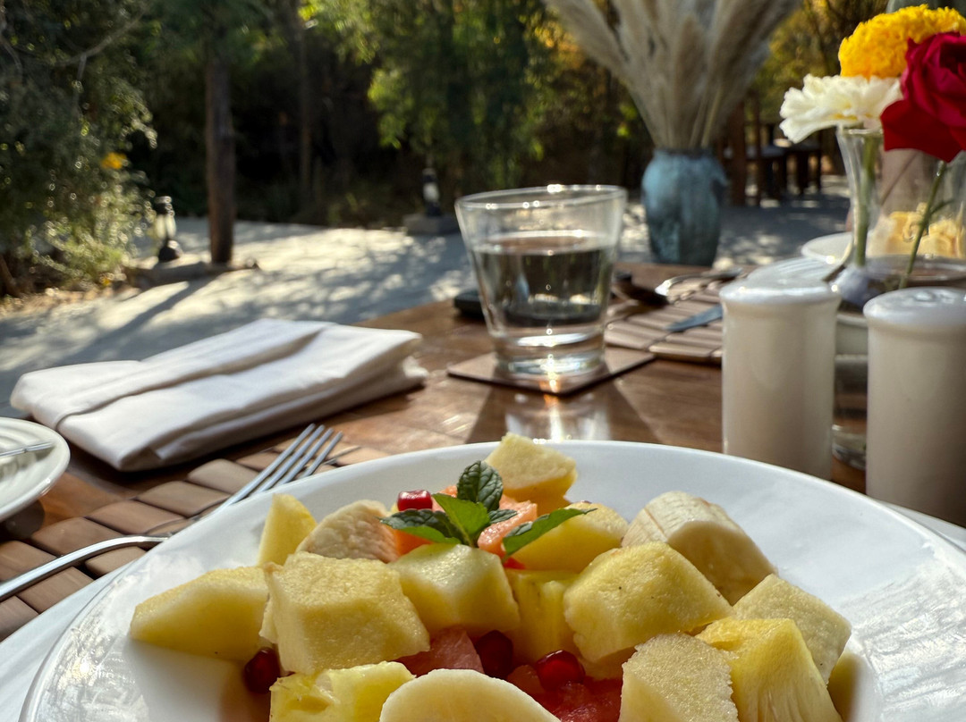 Bijapur Lodge Jawai主图