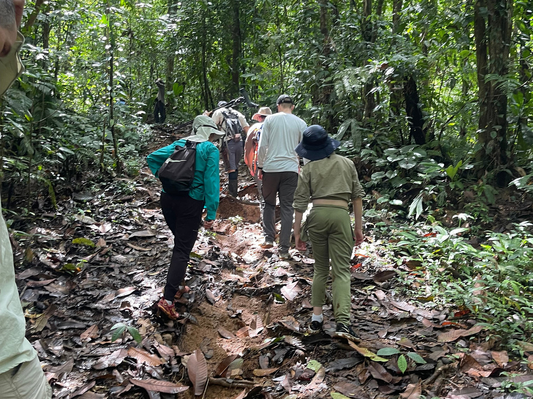 Ficus Tours-希门尼斯港必去景点