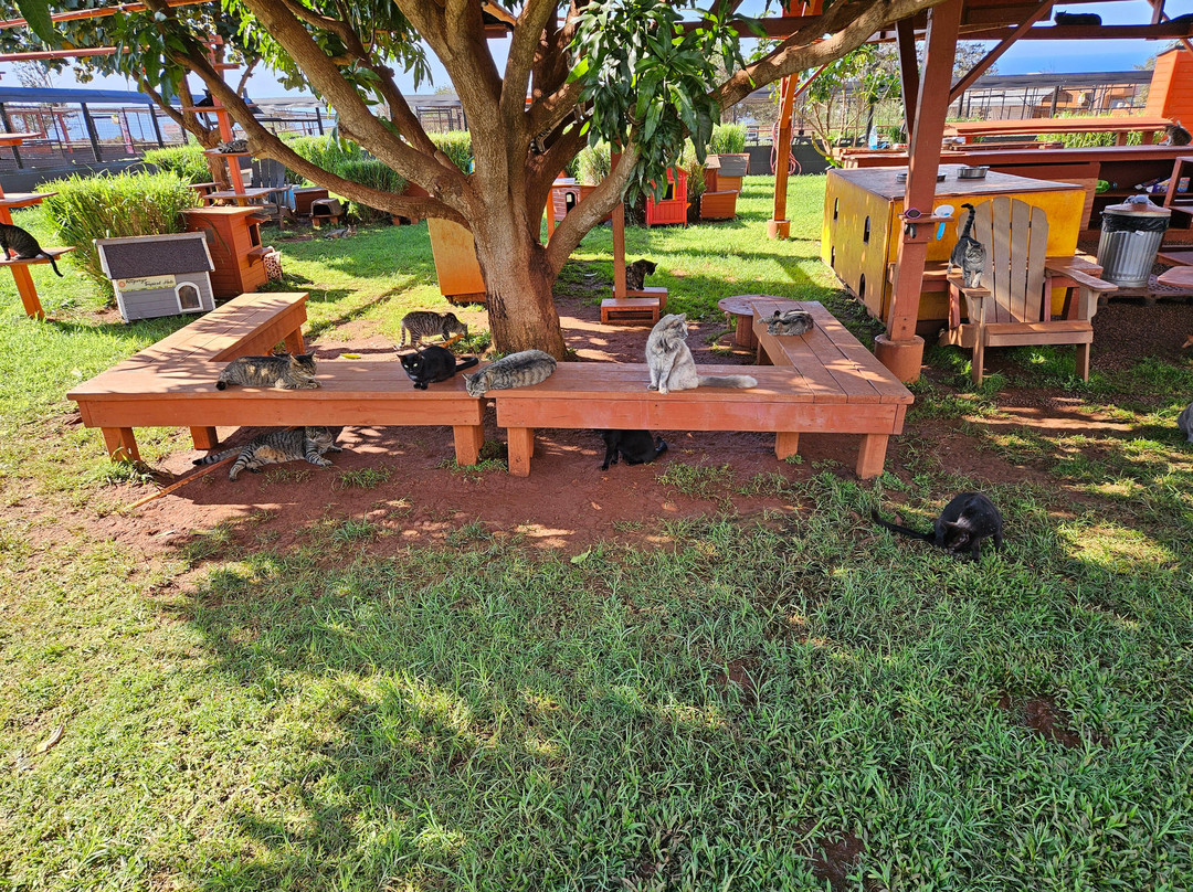 拉奈动物救援中心-拉奈市必去景点