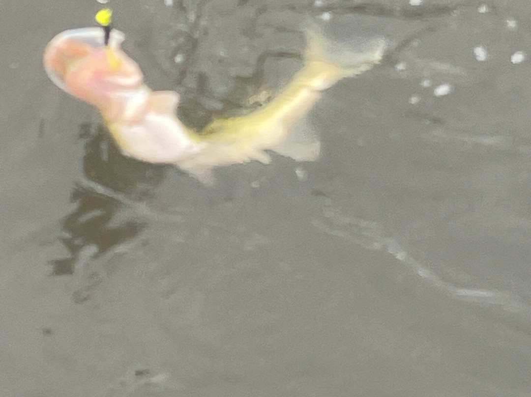 Echo Lake Park-里士满必去景点