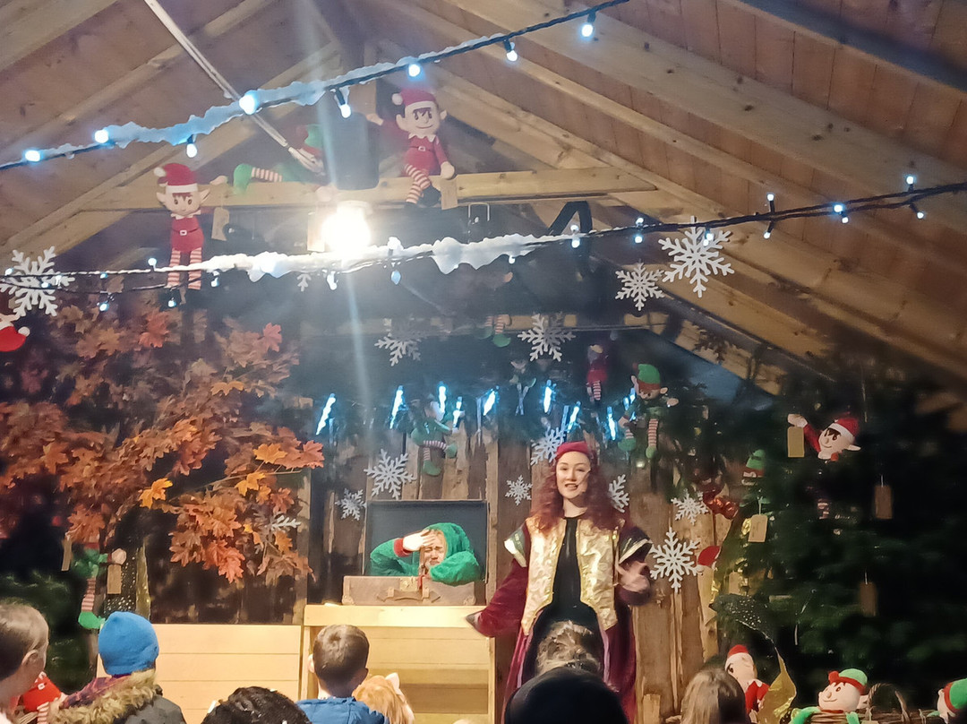 Lee Valley Animal Adventure Park-沃尔萨姆阿比必去景点