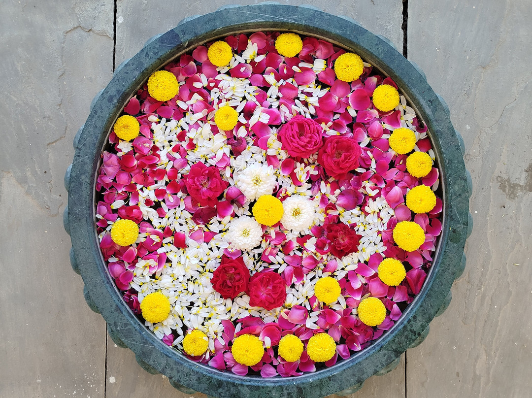 Bijapur Lodge Jawai主图