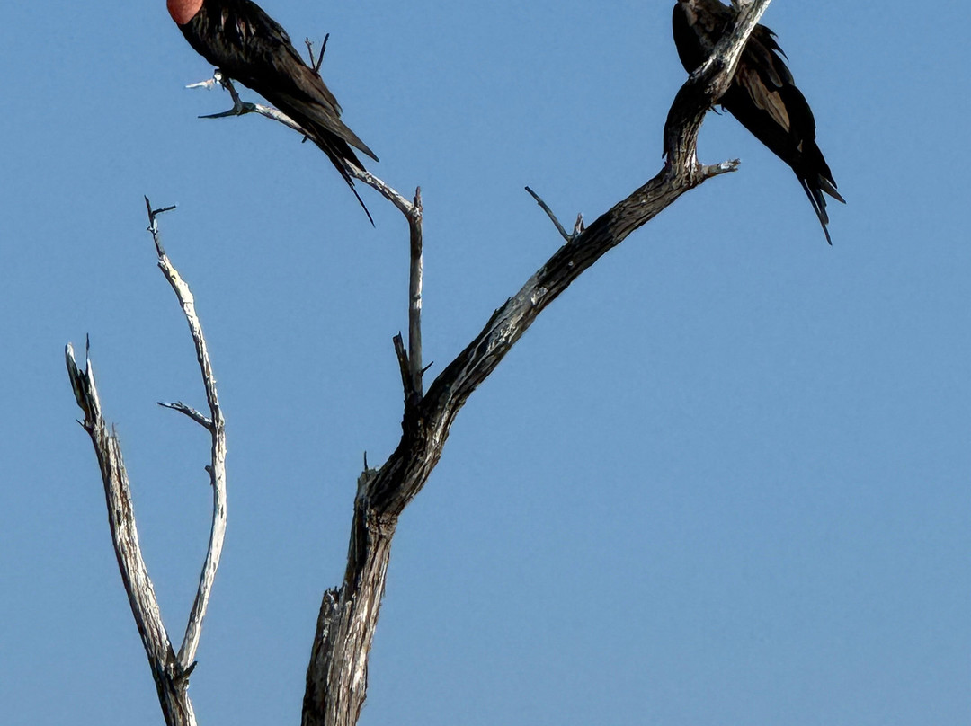 Lalo Ecotours-埃斯孔迪多港必去景点