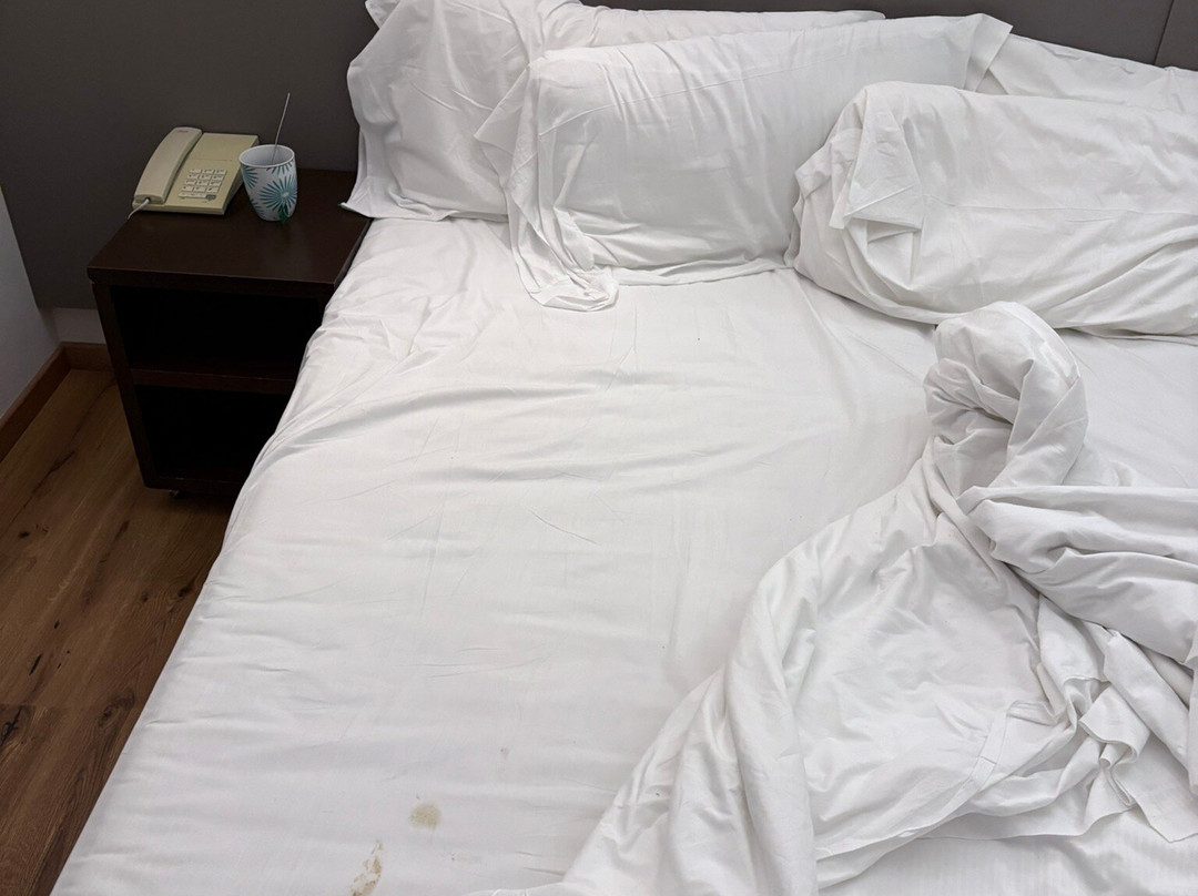 阿尔卡酒店主图