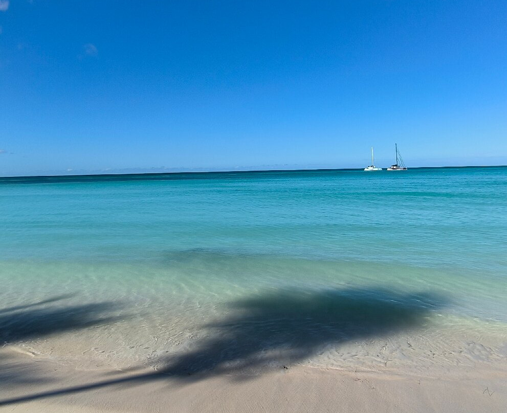 Mariposa Tours-Bayahibe必去景点