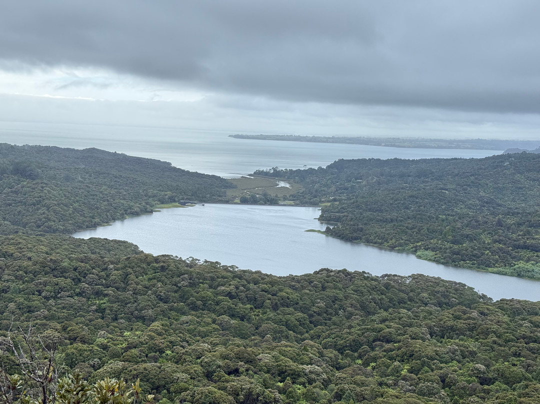 Expedigo Tours and Transfers