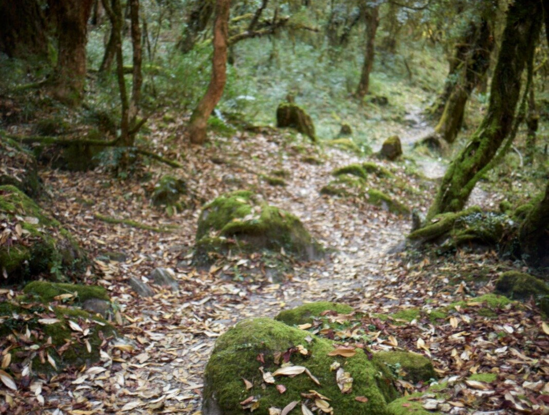 Nepal Trek Hub-加德满都必去景点