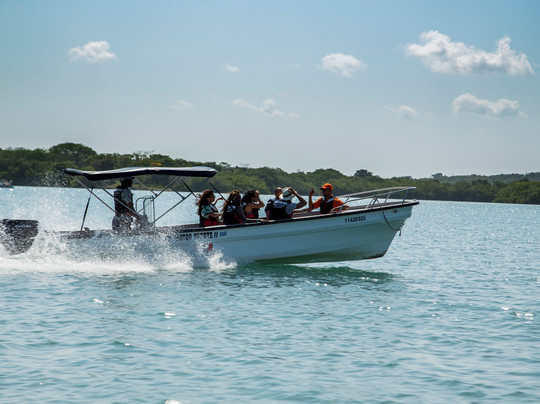 DECAMERON EXPLORER BARU (DMC)