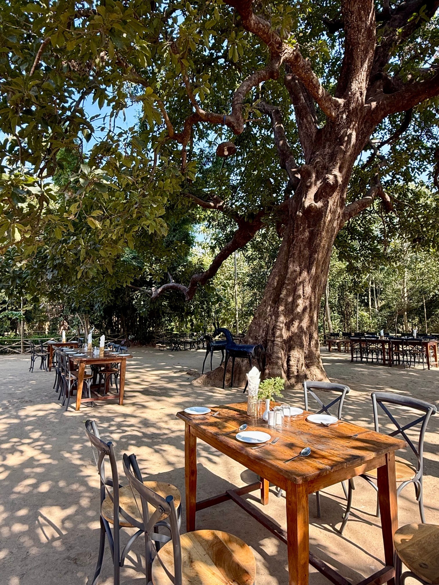 Aranyak Resort Bandhavgarh-官方