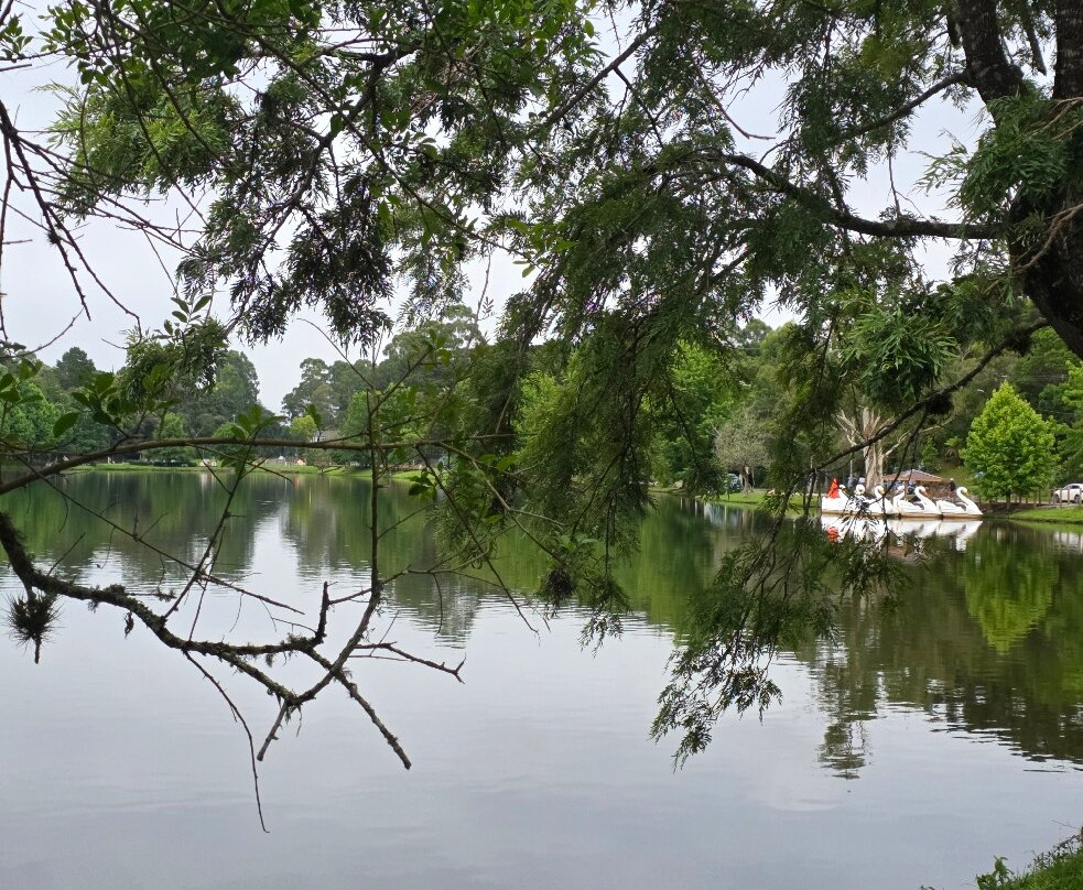 Lago Sao Bernardo-Sao Francisco de Paula必去景点