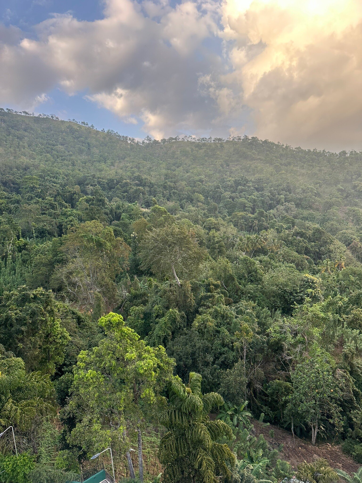 MOI Ella by DBI-官方