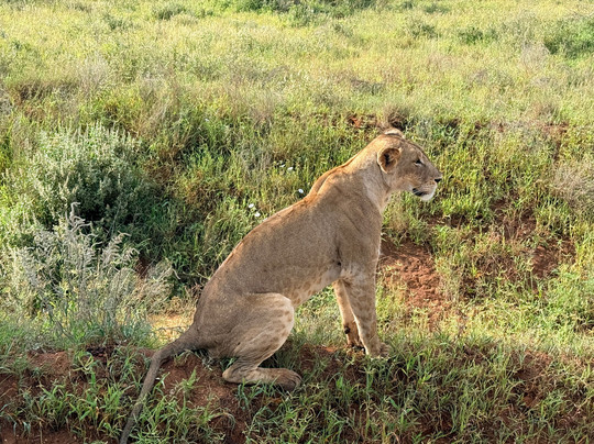 Sunday Best Safaris-蒙巴萨必去景点