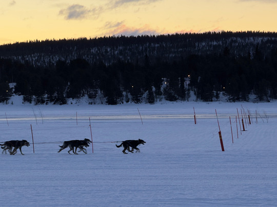 Arctic River Company-Kurravaara必去景点