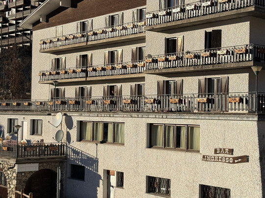 Hotel Des Alpes主图