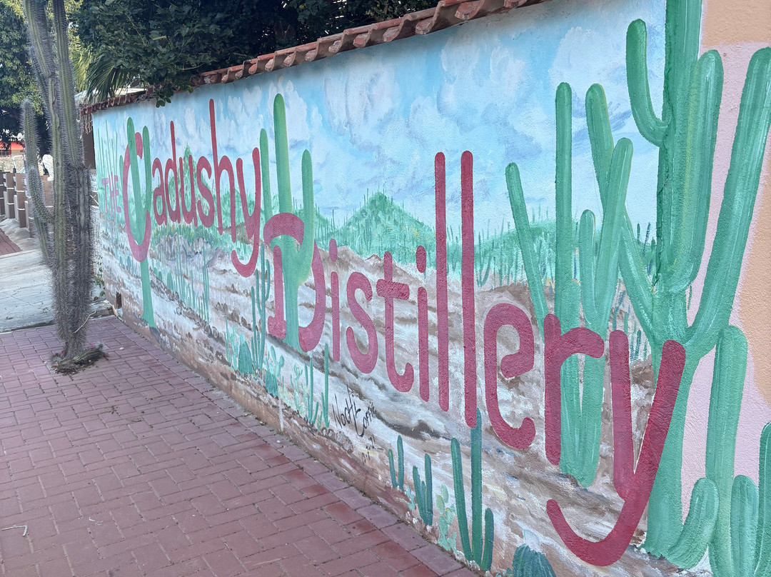 The Cadushy Distillery-Rincon必去景点